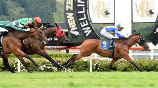 Showbeel (NZ) moves up the leaderboard in the NZB Filly of the Year Series. Photo: Race Images.